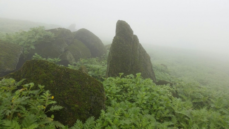 LOMAS DE MANGOMARCA