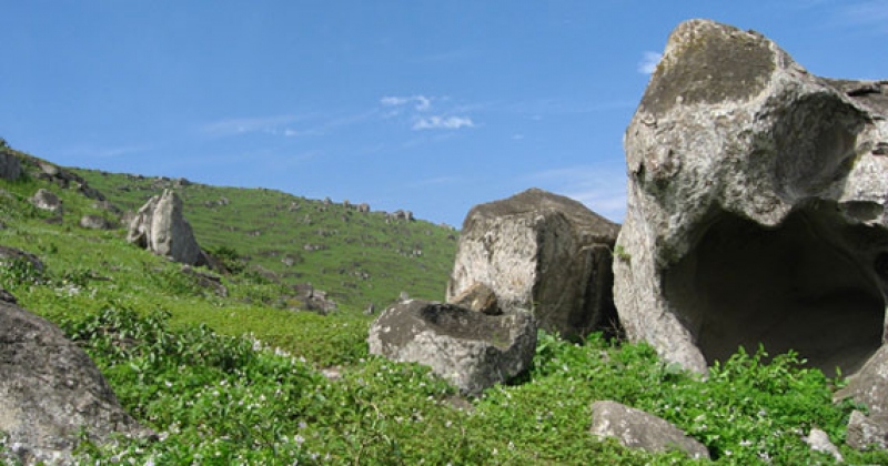 Caminata y naturaleza en las Lomas de Lucumo