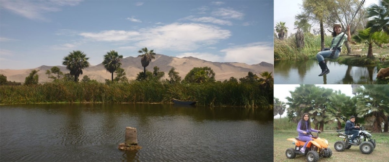 Aucallama : Un Oasis en medio del desierto