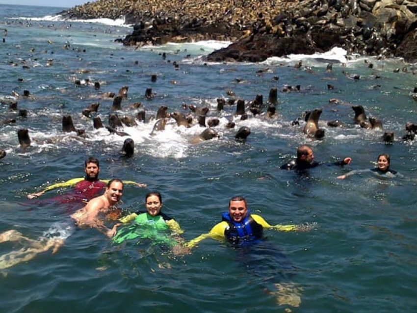 Tour Marino En El Callao + Nado Con Lobos + Show Pirata