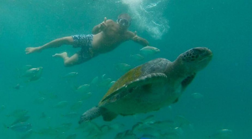 Tour nado con tortugas en El Ñuro 