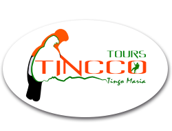 Tincco Tours