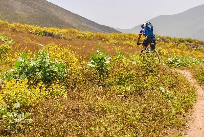 Rozando la inmensidad del horizonte - Imagen 7