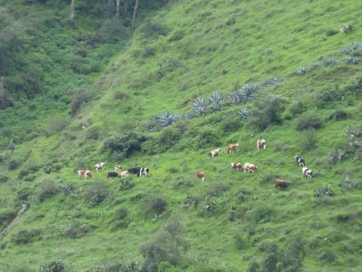 Catarata Antankallo - Imagen 24
