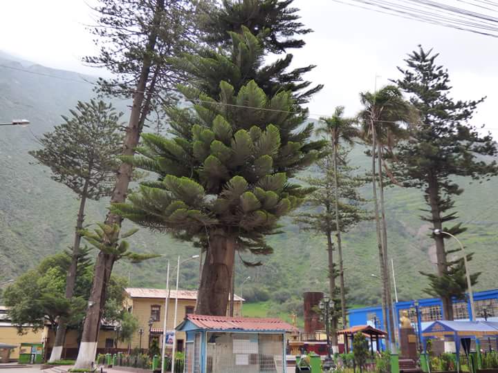 Catarata Antankallo - Imagen 53