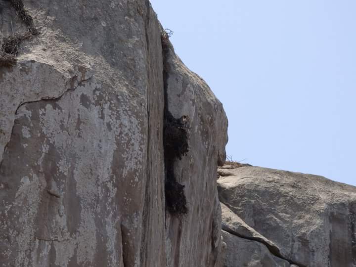 Lomas de Lúcumo - Imagen 24