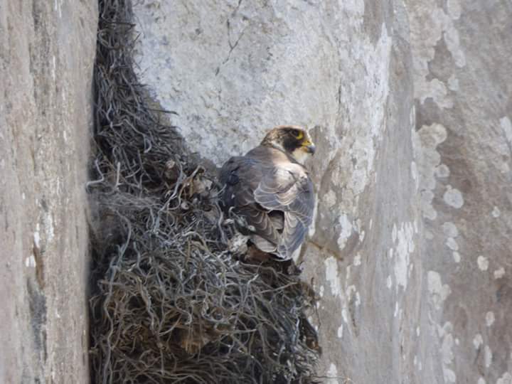 Lomas de Lúcumo - Imagen 26