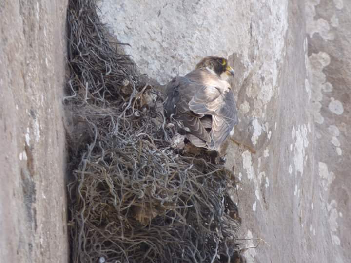 Lomas de Lúcumo - Imagen 27