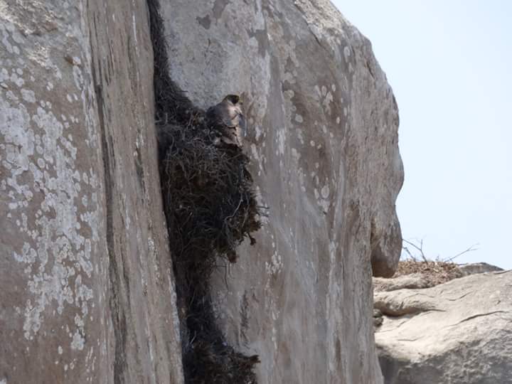 Lomas de Lúcumo - Imagen 28