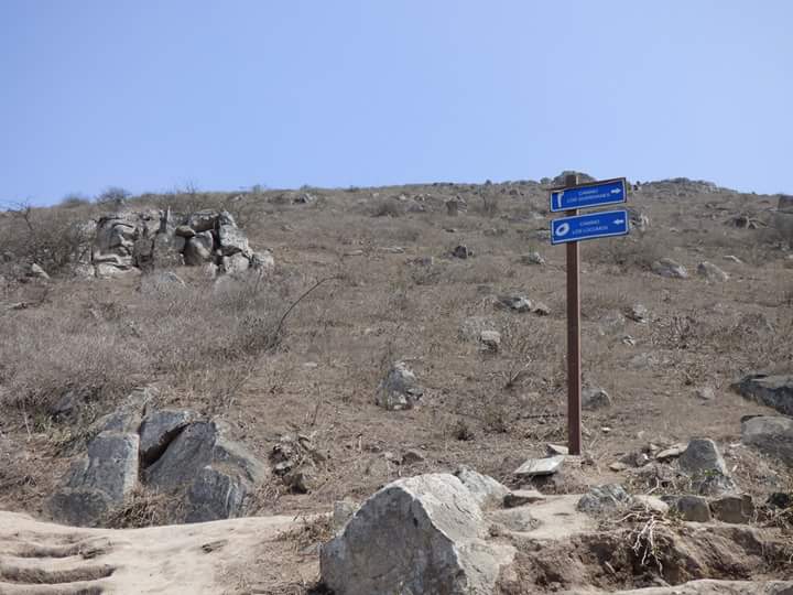 Lomas de Lúcumo - Imagen 47