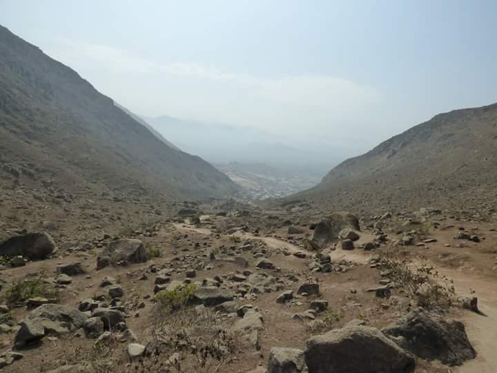 Lomas de Lúcumo - Imagen 64