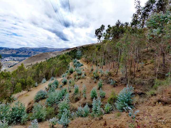 Torre Torre - Imagen 4