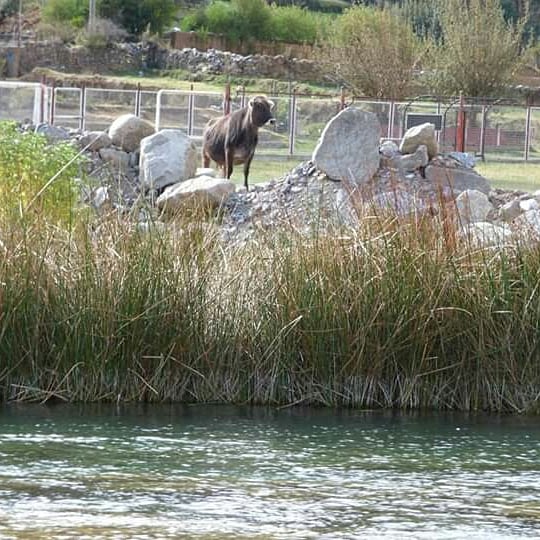 El Paraíso Andino - Imagen 9