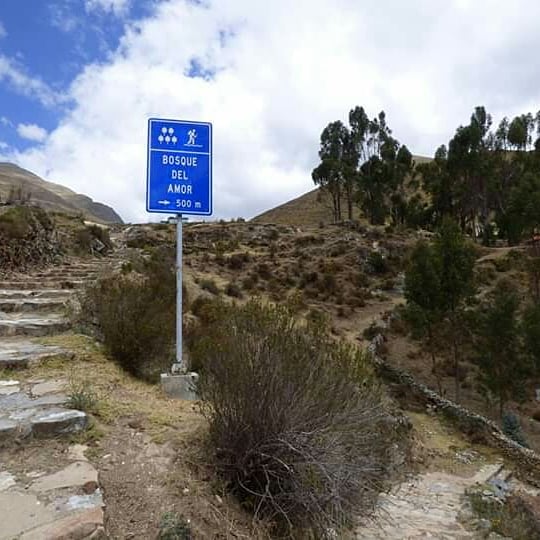 El Paraíso Andino - Imagen 25