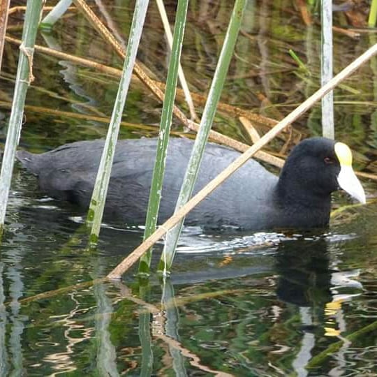 El Paraíso Andino - Imagen 28