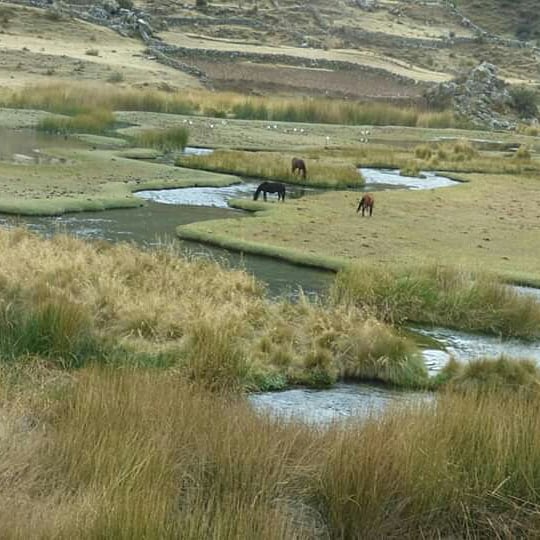 El Paraíso Andino - Imagen 35