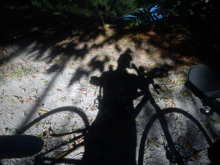 MOYOBAMBA A TARAPOTO - Imagen 4