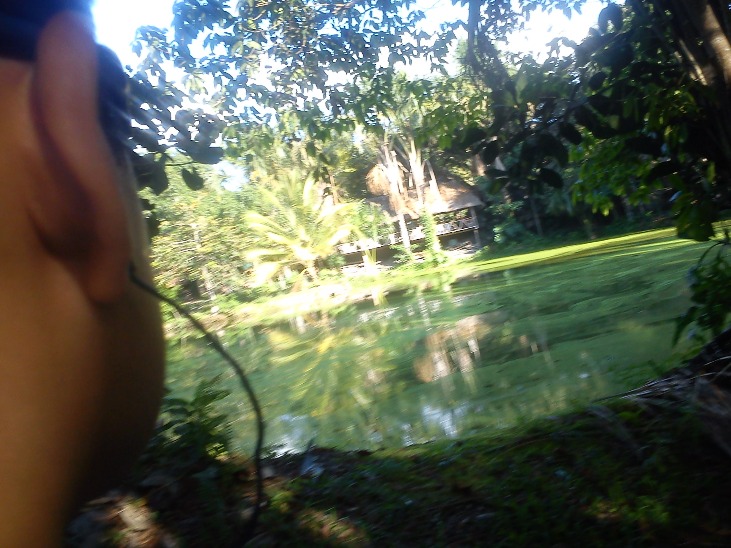 MOYOBAMBA A TARAPOTO - Imagen 6