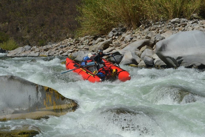 Pura vida - Imagen 3