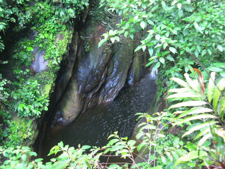 Corriendo en la selva Tarapoto - Imagen 2