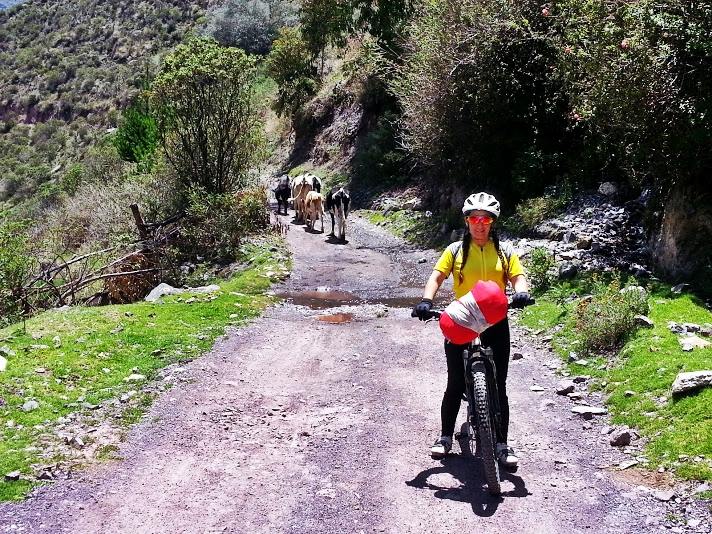 Ruta a la represa Yuracmayo - Imagen 5