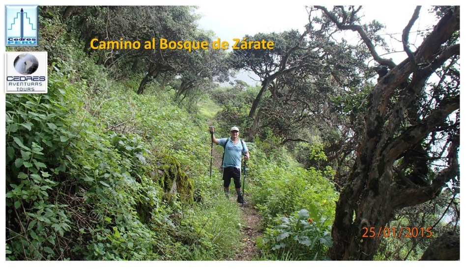 Trekking BOSQUES DE ZARATE Ruta normal 25Ene