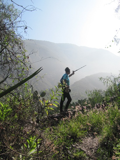 Respirando el Bosque de Zarate - Imagen 7