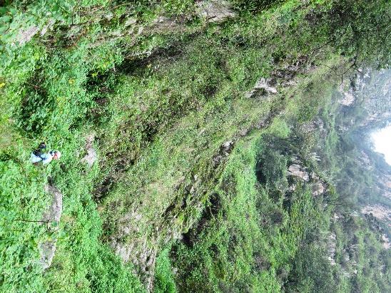 Respirando el Bosque de Zarate - Imagen 9