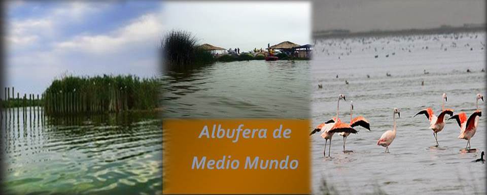 Tour Full Day a La Albufera de Medio Mundo