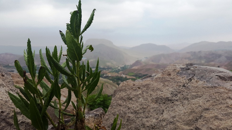 paseo por Ilubaya Torata - Imagen 3