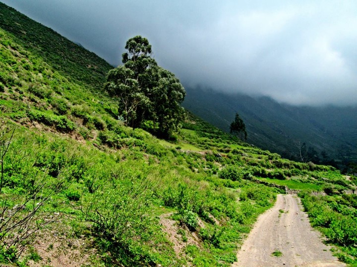 PAYHUA CAMINO AL CIELO - Imagen 5