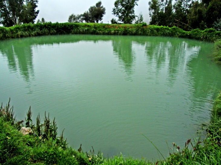 MARACHANCA  Y SUS LAGUNAS GEMELAS  ORCOCOCHA - Imagen 2