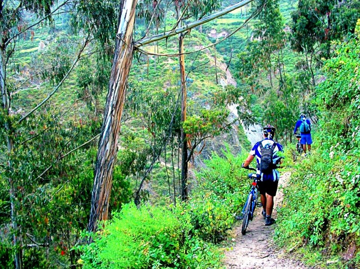 SAN JUAN DE ALLAUCA - Imagen 5