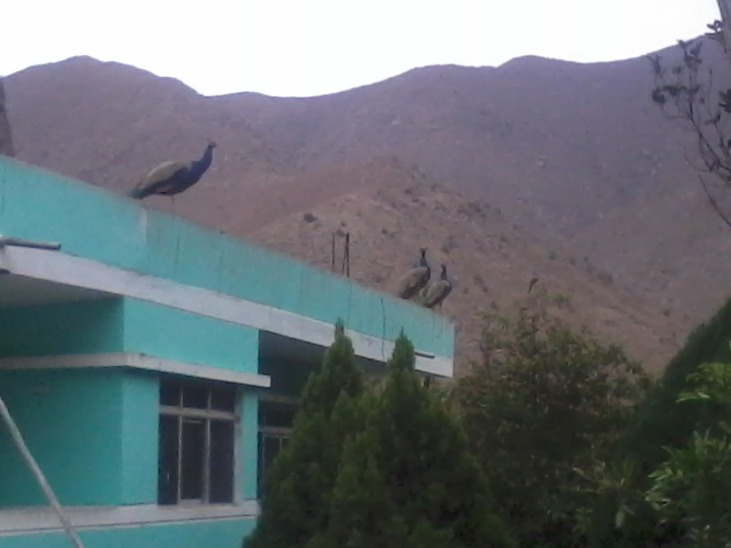 San Miguel de Acos - Imagen 6