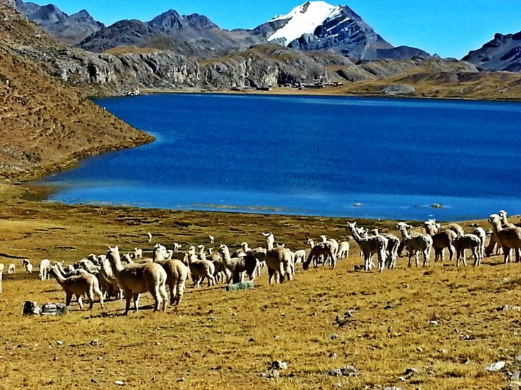 AL ENCUENTRO DE LA VIUDA - Imagen 9