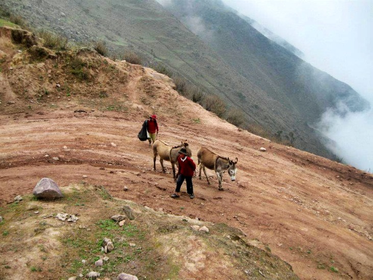 SAN ANTONIO DE CHACLLA - Imagen 3