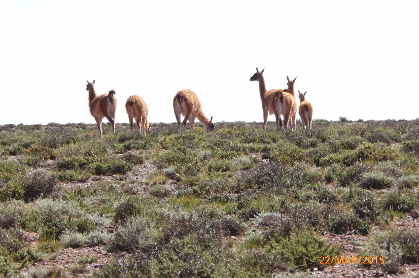 Fotosafari de descubrimiento