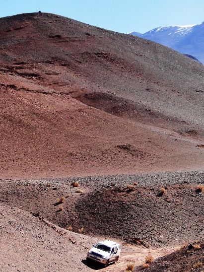 Fotosafari de descubrimiento - Imagen 3