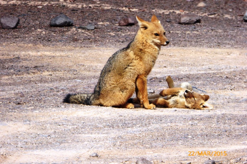 Fotosafari de descubrimiento - Imagen 4