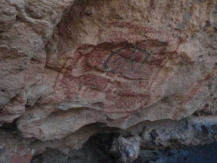 Fotosafari de descubrimiento - Imagen 5