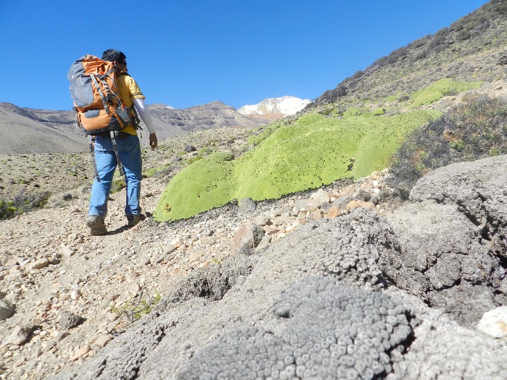 Cumbre Nevado Barroso