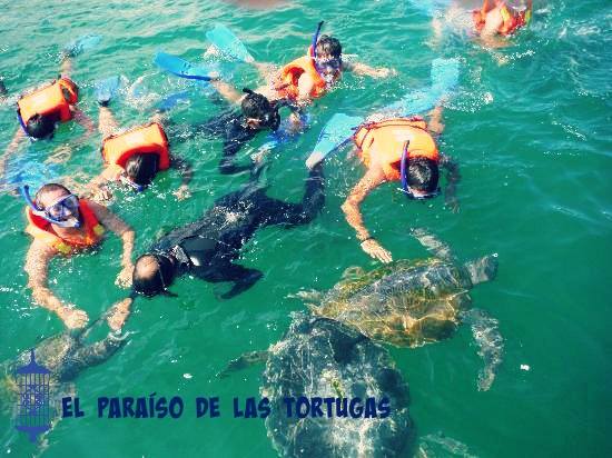 Buceo Extremo - Imagen 2