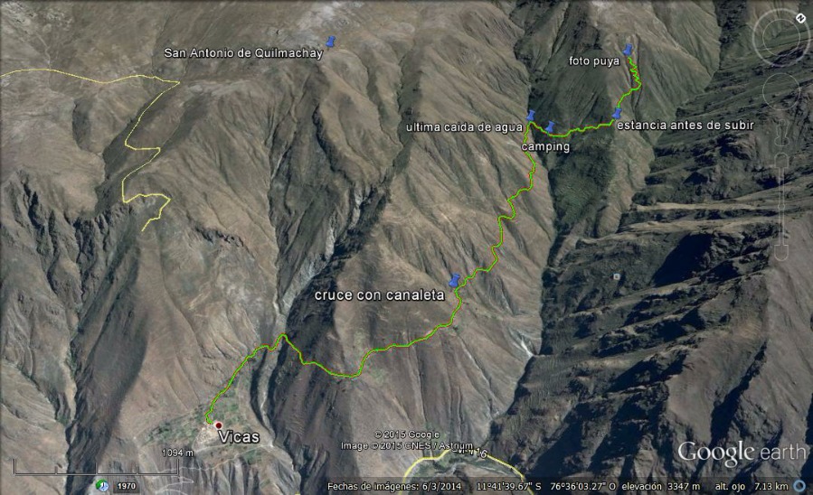 Bosque de Puyas Maquerhua - Imagen 4