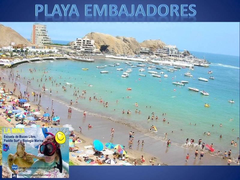 buceo libre - Imagen 4