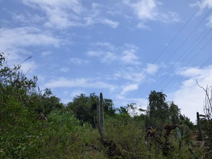 Catarata de Huanano - Imagen 13