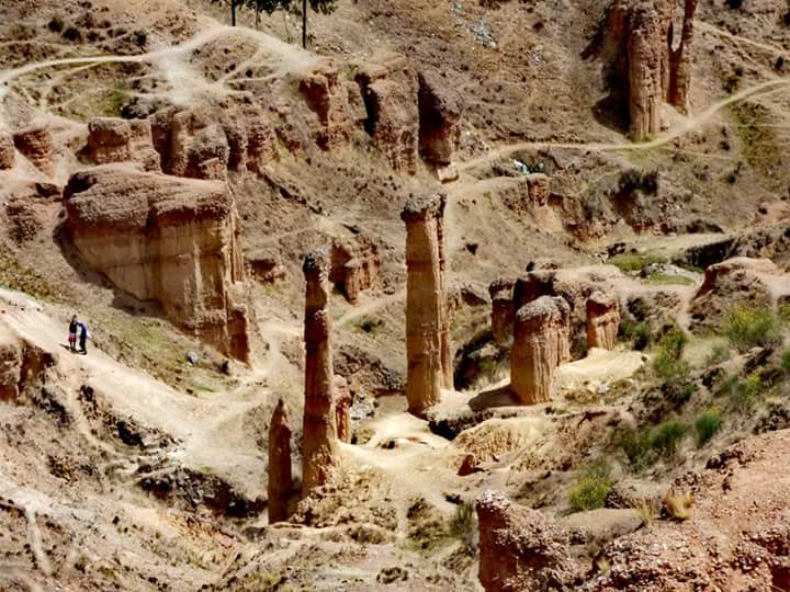 Torre Torre - Imagen 23