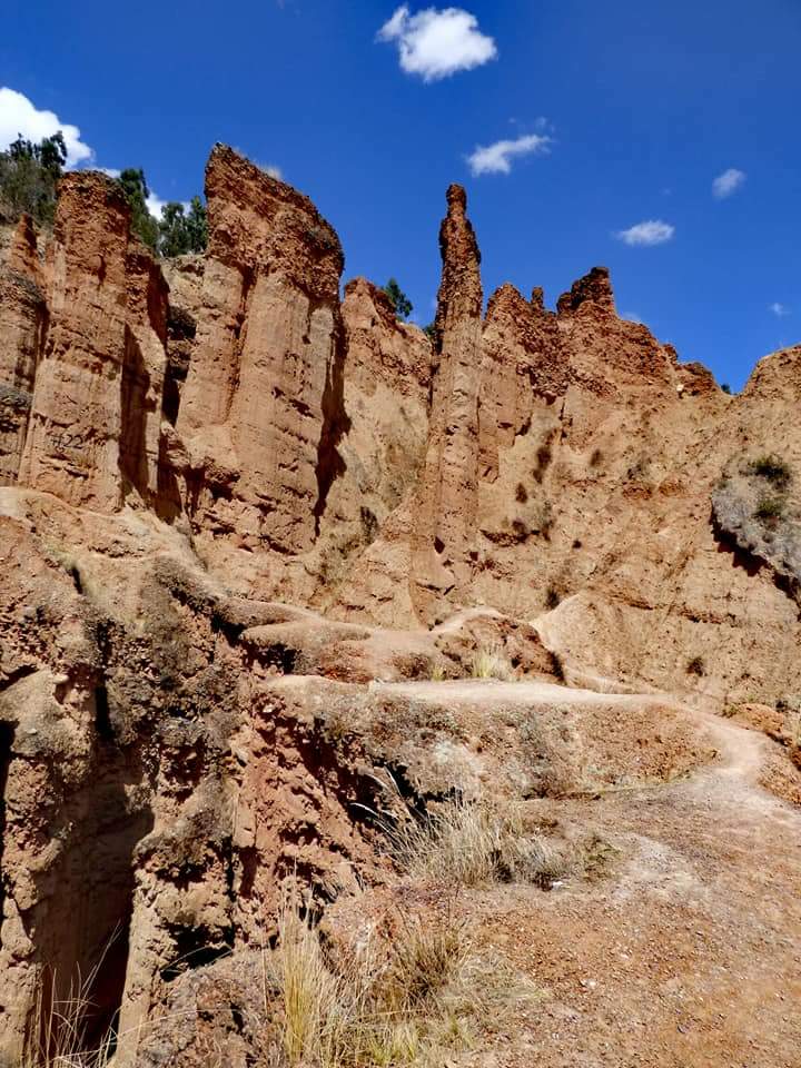 Torre Torre - Imagen 31