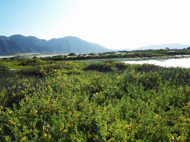 Rumbo a la Laguna de San Diego - Imagen 5