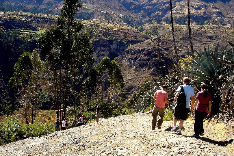 Valle alto del rio Lurin - Imagen 9