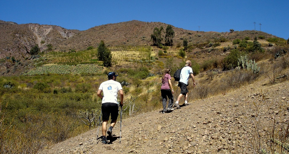 Valle alto del rio Lurin - Imagen 8